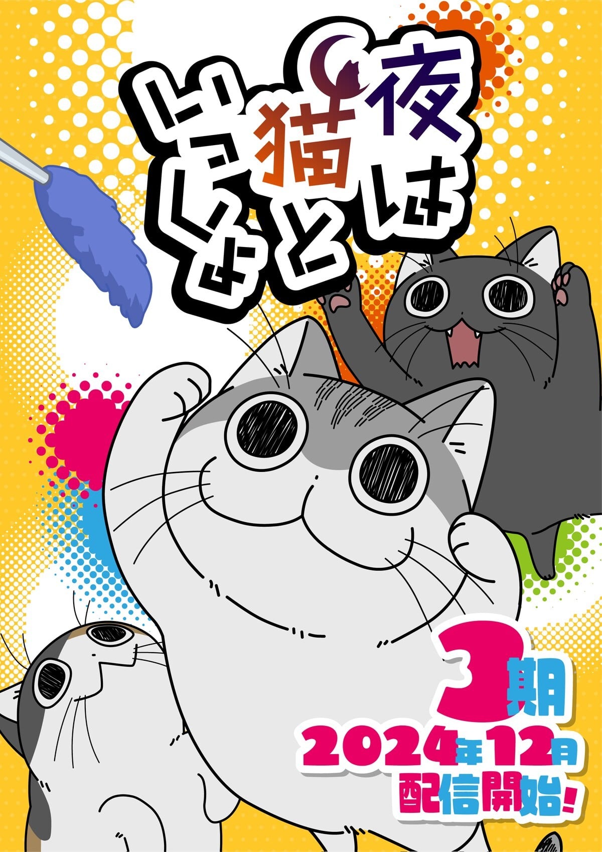 与猫共度的夜晚 第三季