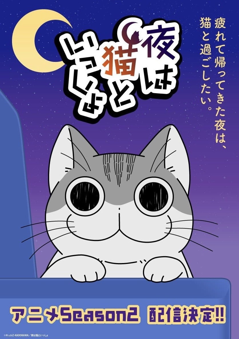 与猫共度的夜晚 第二季